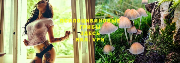 мяу мяу кристалл Алексеевка