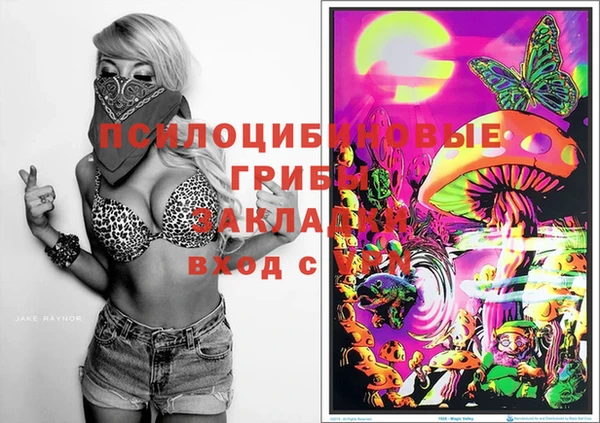 кокаин колумбия Алзамай